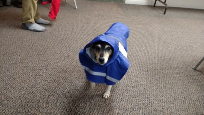 IMG_20170424_200954601